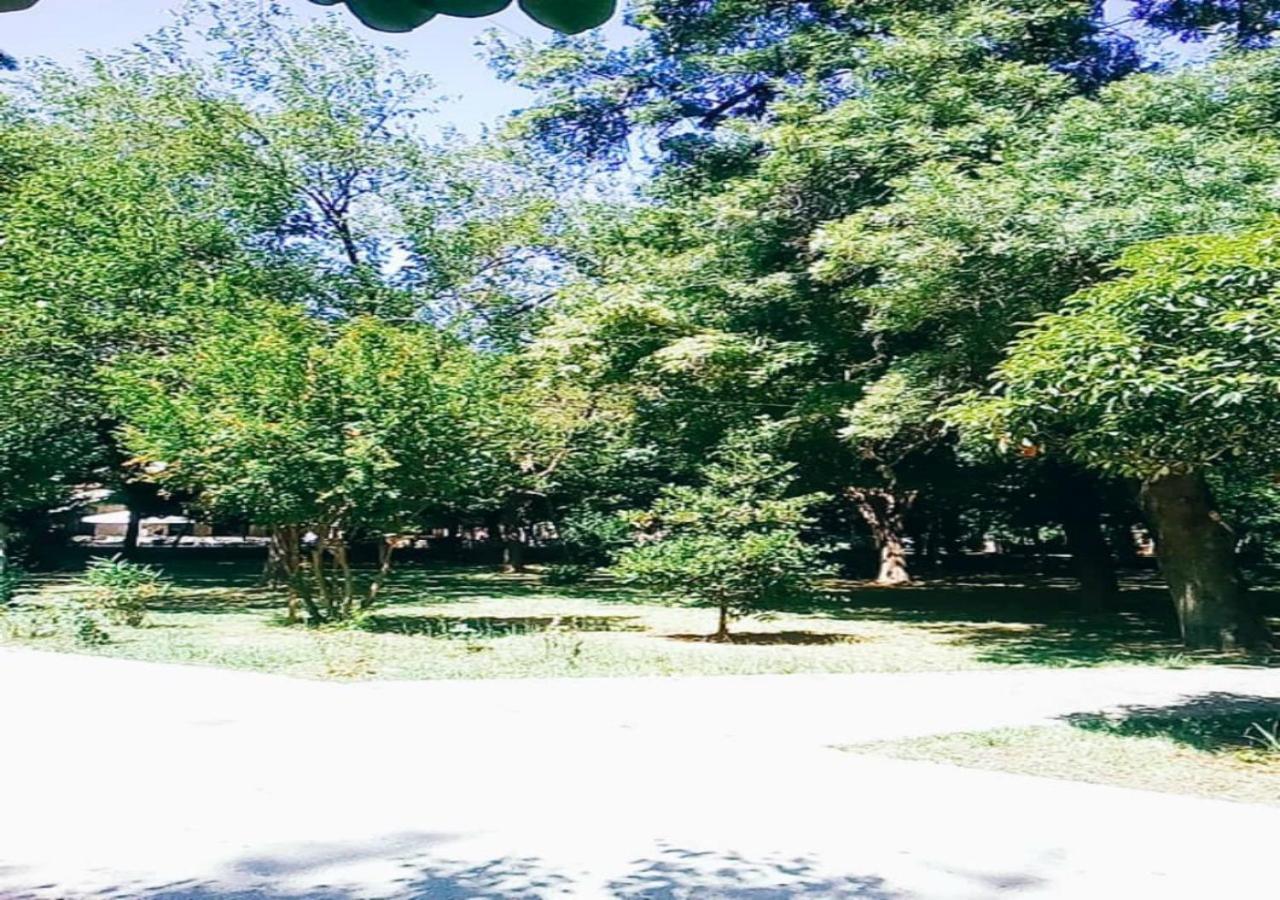 Karditsa Home Sweet Home 68 Τ.Μ Ngoại thất bức ảnh